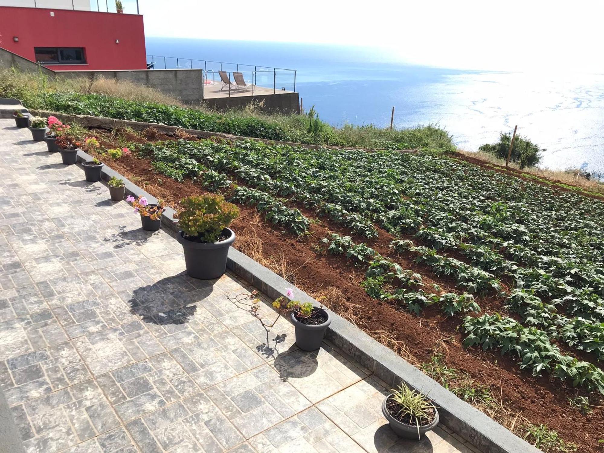 Palheirinho Da Achada Villa Arco da Calheta  Exterior photo